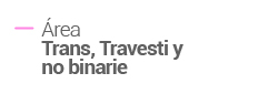 Área Trans, Travesti y No Binarie