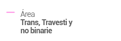 Área Trans, Travesti y No Binarie
